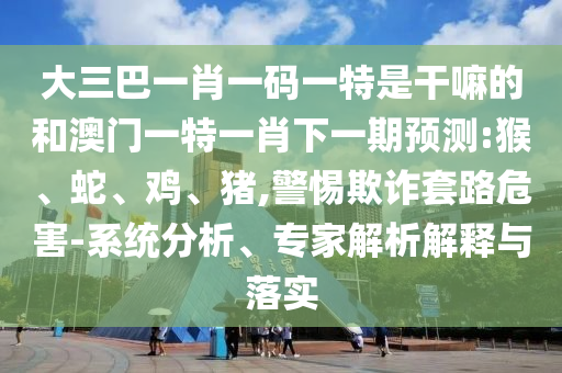 大三巴一肖一碼一特是干嘛的和澳門一特一肖下一期預測:猴、蛇、雞、豬,警惕欺詐套路危害-系統分析、專家解析解釋與落實