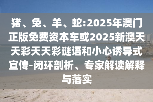 豬、兔、羊、蛇:2025年澳門正版免費(fèi)資本車或2025新澳天天彩天天彩謎語和小心誘導(dǎo)式宣傳-閉環(huán)剖析、專家解讀解釋與落實(shí)
