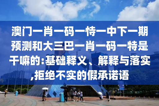 澳門一肖一碼一恃一中下一期預測和大三巴一肖一碼一特是干嘛的:基礎釋義、解釋與落實,拒絕不實的假承諾語