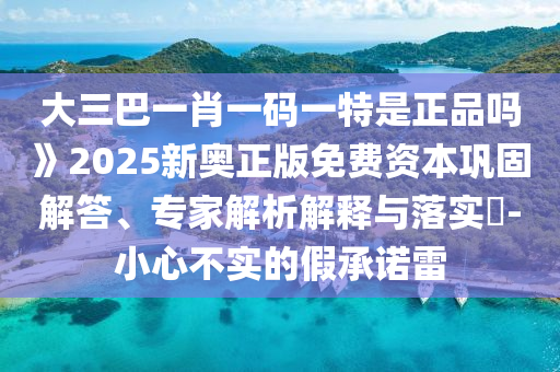大三巴一肖一碼一特是正品嗎》2025新奧正版免費資本鞏固解答、專家解析解釋與落實?-小心不實的假承諾雷